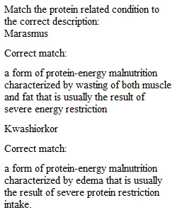 Worksheet 6.4